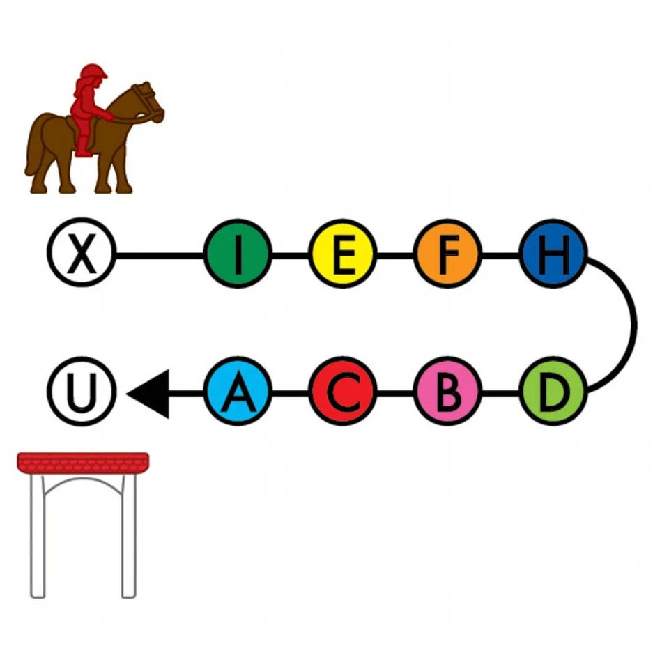 Horse Academy 6 Horse Academy - Afbeelding 6